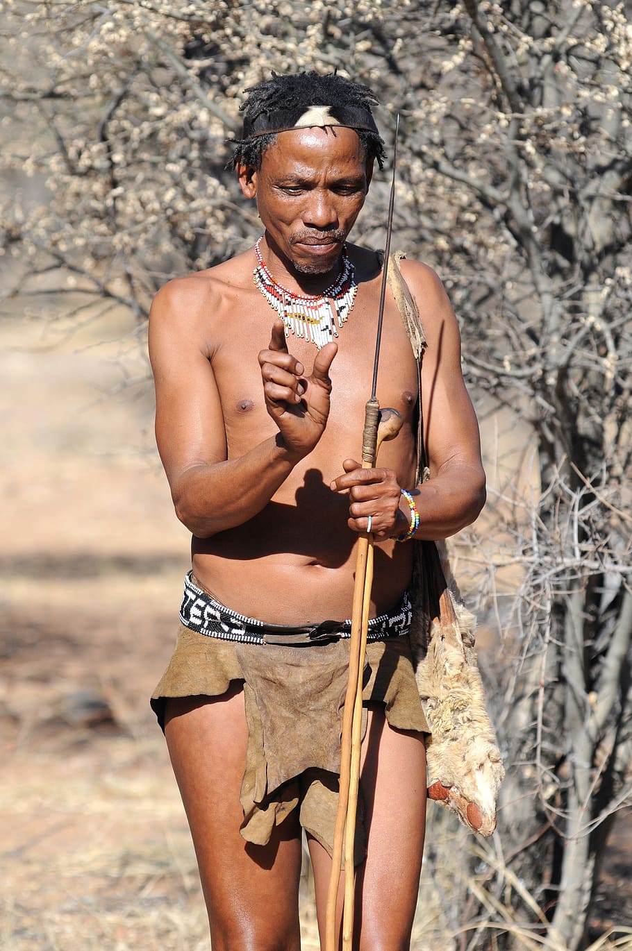 Botswana, Bushman, Budaya Adat, pemburu dan pengumpul, Keturunan afrika, pria, orang-orang, Etnis afrika, di luar rumah, Budaya Suku afrika