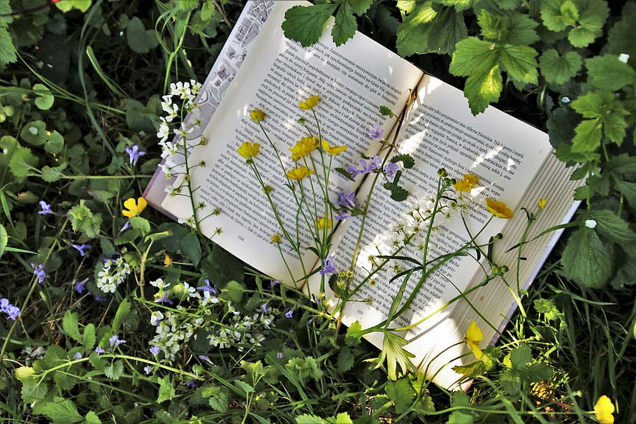 opened, book page, green, plant, reading, nature, leaf, garden, spring, flower