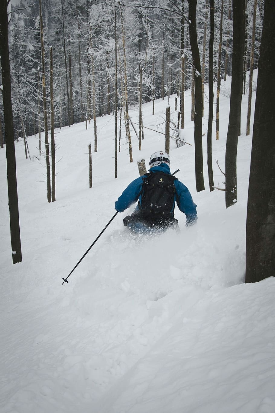 Freeride, Skis, Winter, Forest, ride, snow, cold temperature, one person, adventure, ski pole