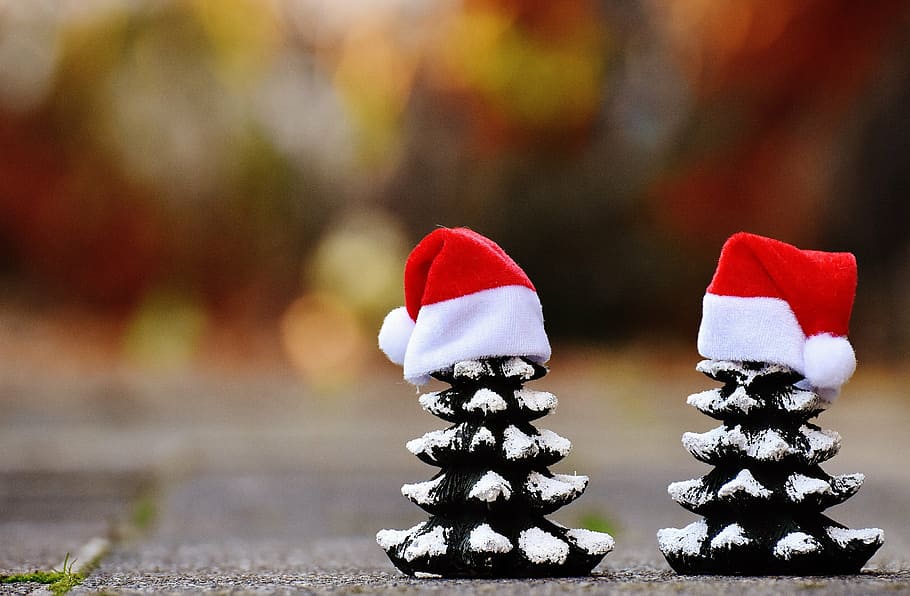 dos, piñas, vistiendo, sombreros de santa claus, navidad, abetos, árboles, gracioso, sombrero de santa, tiempo de navidad