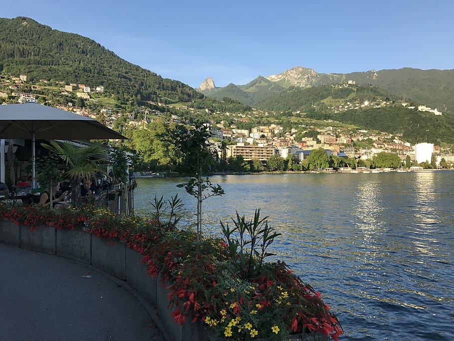 Suiza, Riviera, Lago de Ginebra, montaña, agua, arquitectura, planta, exterior del edificio, estructura construida, naturaleza