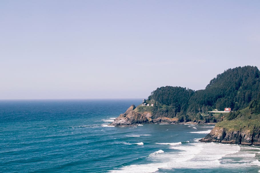 崖の海岸線, 穏やかな, 海, 昼間, 自然, 水, ビーチ, 崖, 木, 風景-自然