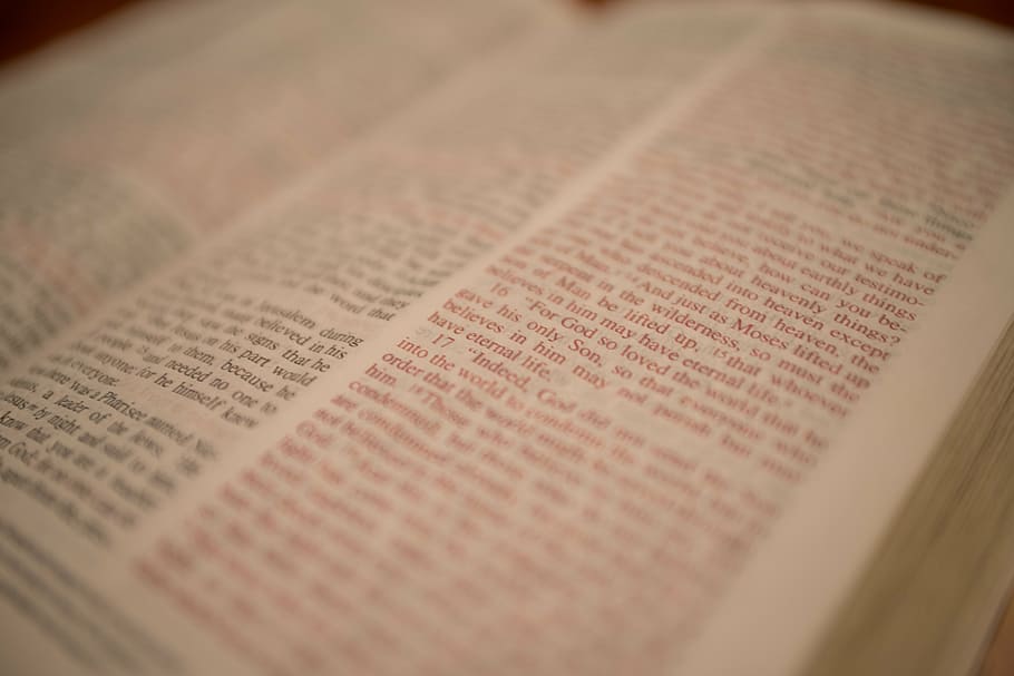 scripture, bible, christian, book, open, page, read, education, text, selective focus