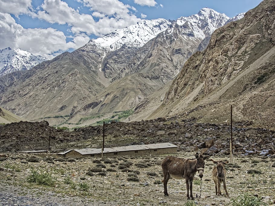 tajikistan, provinsi gunung-badakhshan, pamir, pegunungan tinggi, lembah pandsch, pemandangan, salju, daerah perbatasan, afghanistan, jalan raya pamir