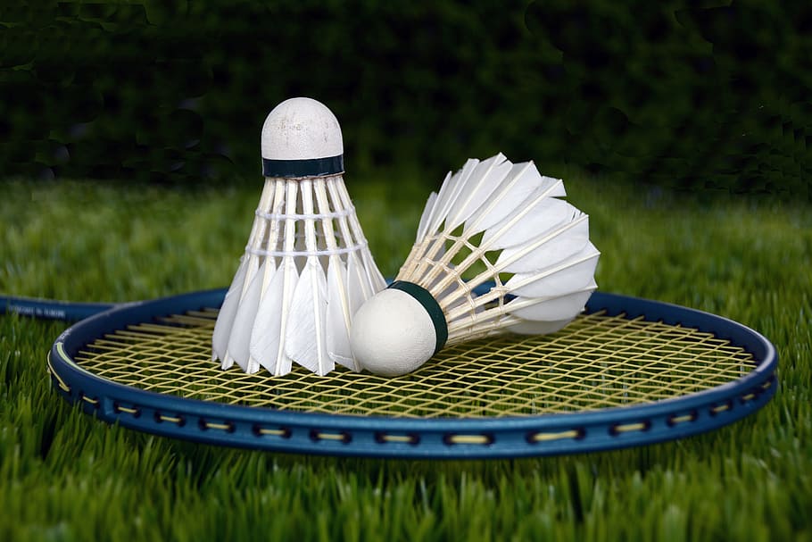 two, white, shuttlecocks, blue, badminton racket, badminton, racket, shuttle, sport, bat
