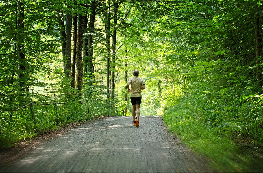 man jogging, middle, forest, Run, Jog, Sport, Leisure, Sporty, healthy, jogging