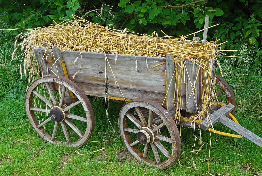 brown, wagon, filled, hey, straw carts, straw car, routes, hay wagon, cart, towbar