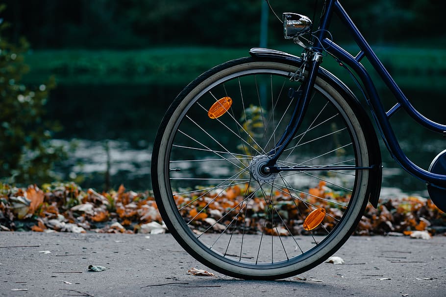 bicicleta, roda, aço, folha, outono, grama, escuro, transporte, veículo terrestre, meio de transporte