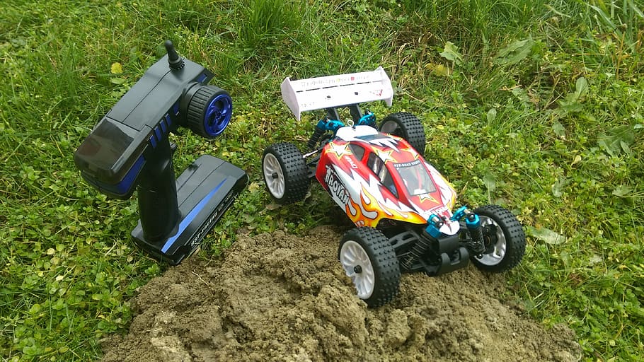 remote controlled, game, model, small car, buggy, grass, land, field, high angle view, nature