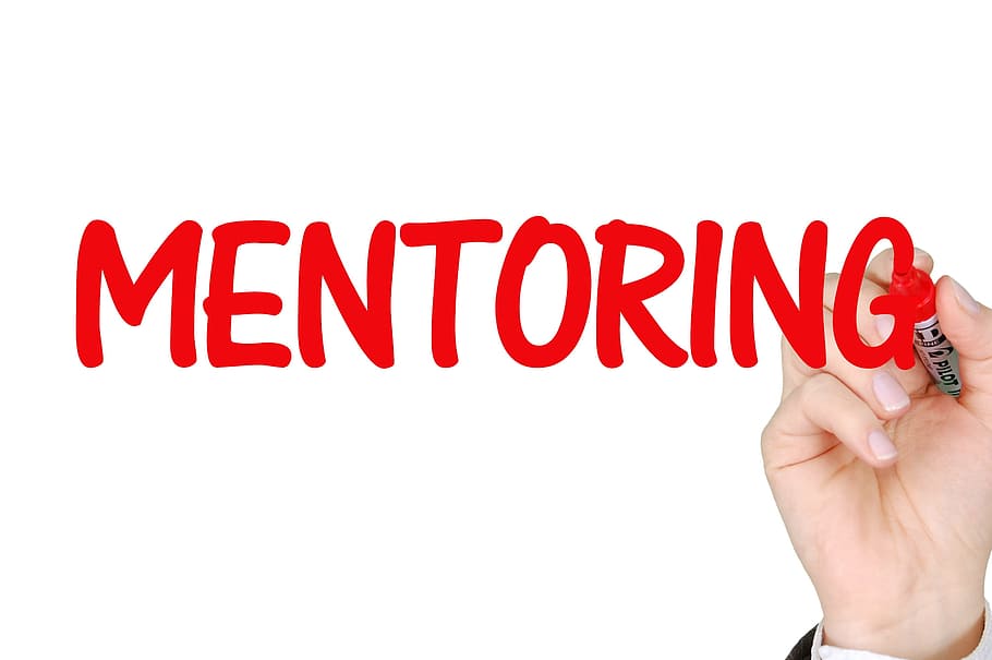 red mentoring illustration, mentoring, business, success, mentor, teamwork, development, red, white background, communication