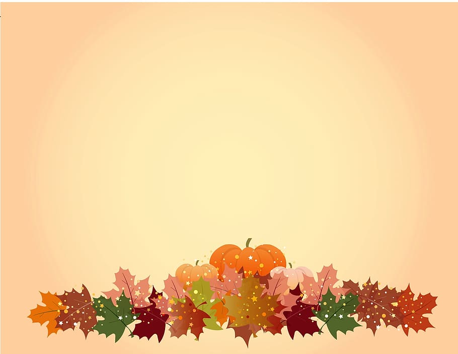 maple, leaves, pumpkin illustration, thanksgiving background, thanksgiving, fall, autumn, harvest, decoration, pumpkin
