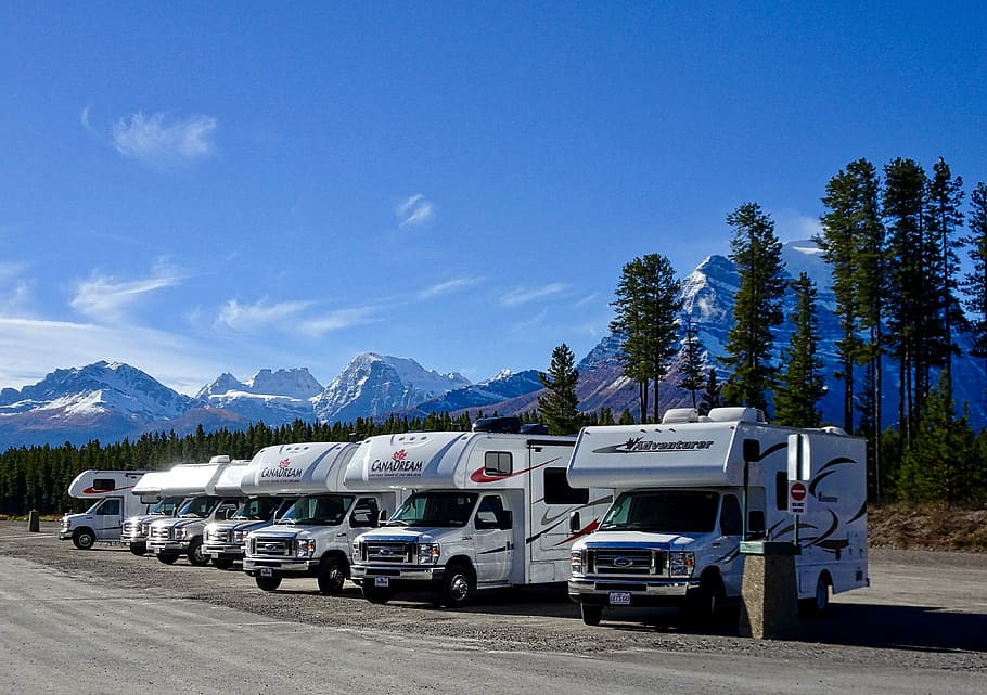 several, recreational, vehicles lined-up, gray, road, motorhome, camping, travel, campground, rving