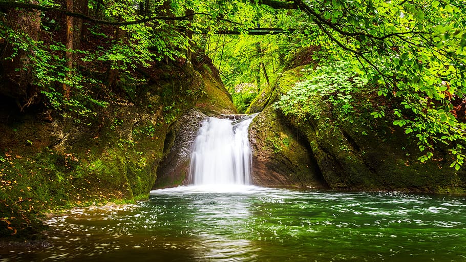 eistobel, isny, allgäu, waterfall, water, nature, relaxation, forest, alone, nature conservation