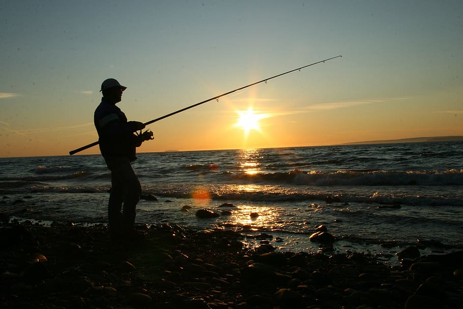 silhouette, person, holding, beach shore, sunset, fishing, coast, ocean, sea, water