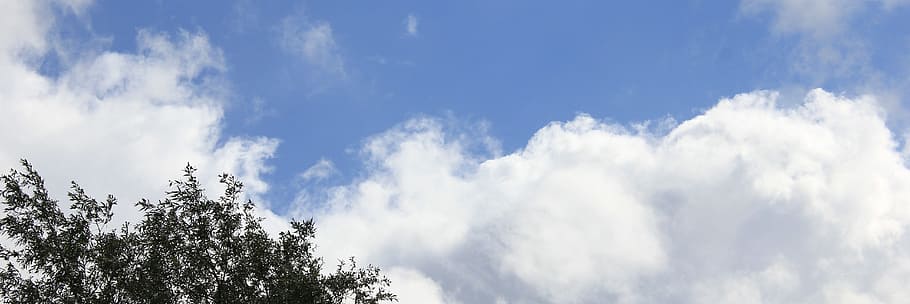 헤더, 배너, 하늘, 구름, 나무 꼭대기, 산소, 배경, 구름-하늘, 푸른, 나무