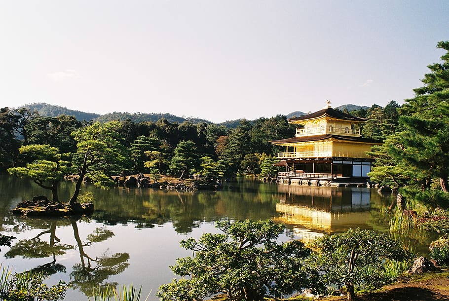 japan, kyoto, kinkakuji temple, tourist destination, historic sites, water, reflection, tree, lake, plant