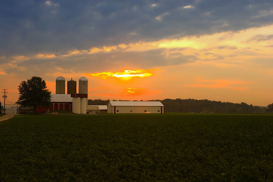 landscape photography, house, golden, hour, ohio, farm, sunrise, sky, clouds, sunlight