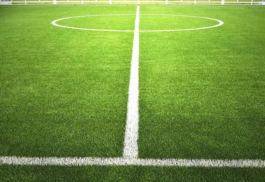 football field, sports, ball, sport, grass, plant, green color, playing field, white color, nature