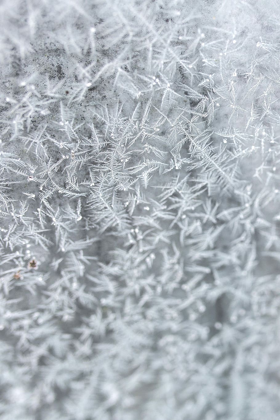 frosty background, Frosty, background, frost, winter, cold, ice, backgrounds, pattern, close-up
