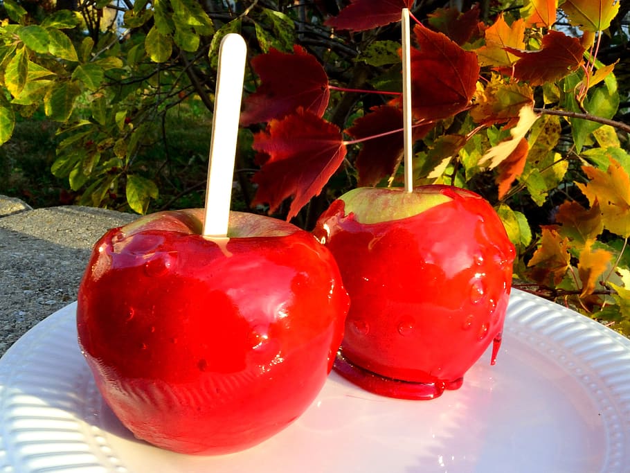 candy, apple, harvest, fall, festival, red, fruit, dessert, stick, holiday