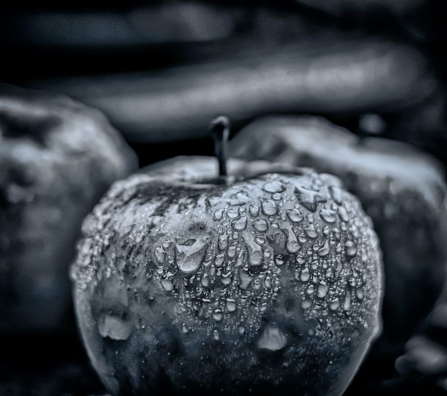 foto em tons de cinza, maçã, orvalho, chuva, gotejamento, fruta, frutas, gota de chuva, comer, molhado