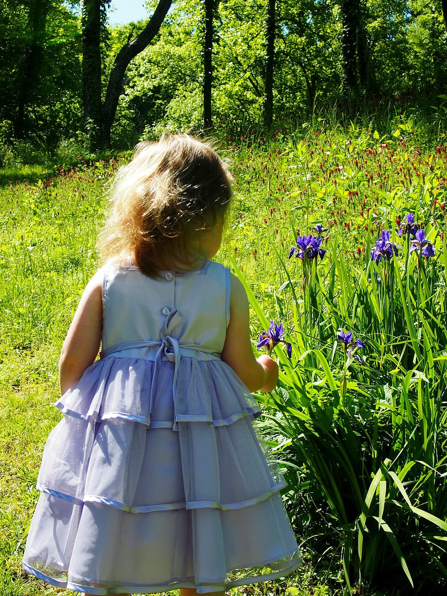 toddler, picking, flowers, daytime, little girl, purple dress, irises
