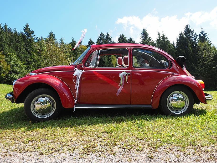 vw beetle, bridal car, auto, oldtimer, vw, vehicle, classic, old, volkswagen, red