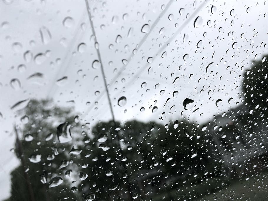水露, 透明, ガラス, 昼間, 水, 水滴, 雨, ウェット, 窓, 雨滴