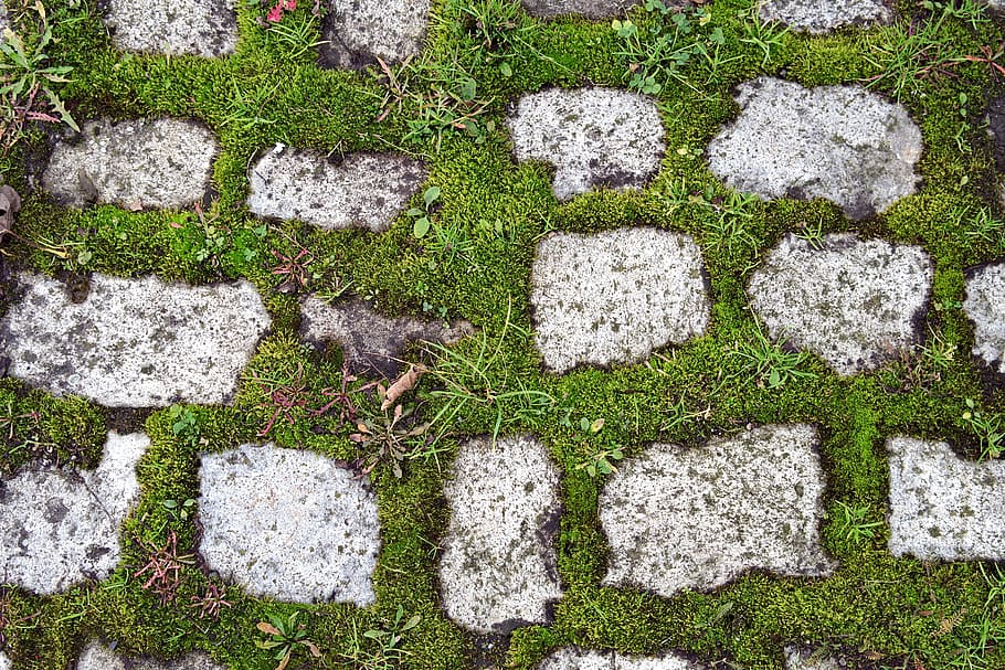pavers, pavement, moss, green, old, overgrown, walkway, grass, weeds, model
