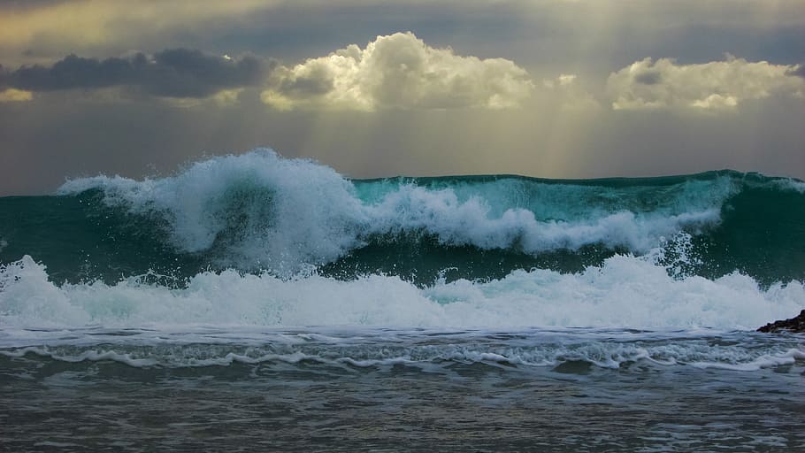 Wave, Smashing, Wind, Storm, Sea, Water, wind, storm, sea, water, coast, nature