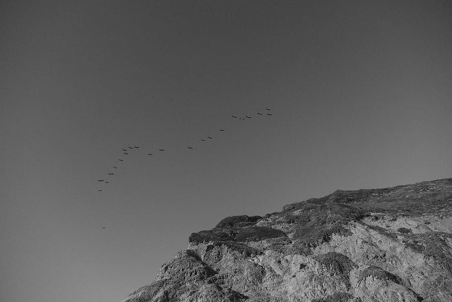 grayscale photography, flying, birds, mountain range, bird, lot, top, rock, mountain, flock