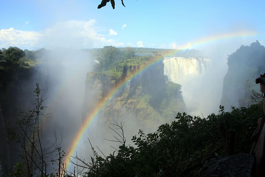 waterfalls during daytim,e, victoria falls, waterfall, zambezi, zimbabwe, spray, water, river, africa, tree
