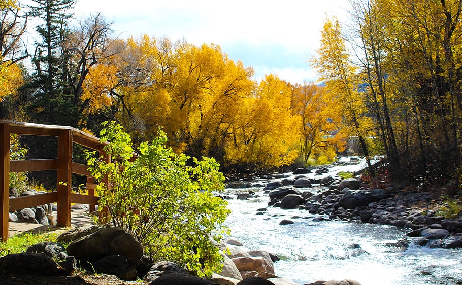 rio, colorado, outono, paisagem, viagem, natureza, panorâmico, montanhas, rio da águia, árvore