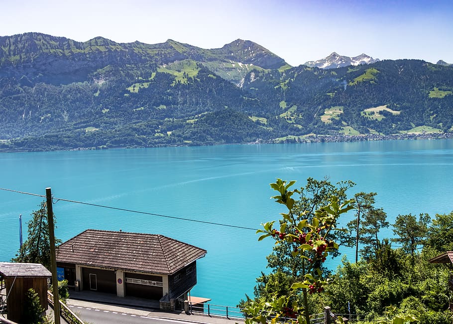 switzerland, water, lake, nature, peace of mind, landscape, the silence, blue, sky, summer