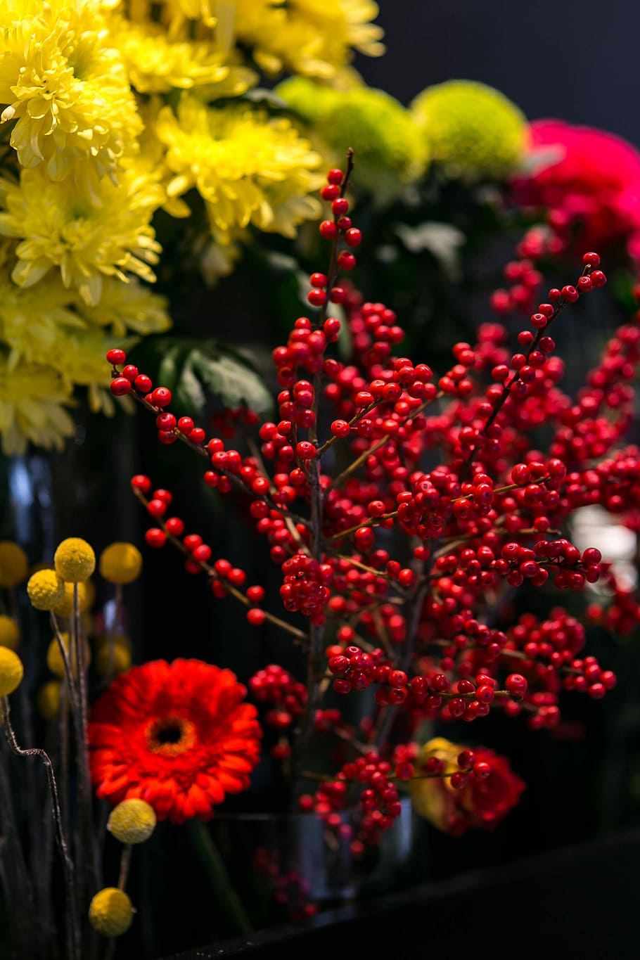 赤, ナナカマド, カラフルなアレンジメント, 花, カラフル, アレンジメント, 植物, 黄色, 花束, かなり