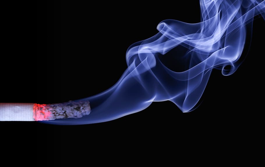 cigarro, fumaça, brasas, cinzas, queimaduras, queimando, fumando, tiro do estúdio, fundo preto, fumaça - estrutura física