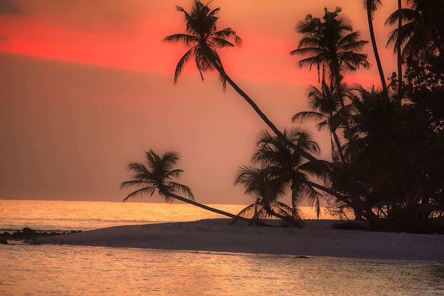 yellow sky, nature, sunrise, sunset, beach, maldives, cloud, sea, sun, orange