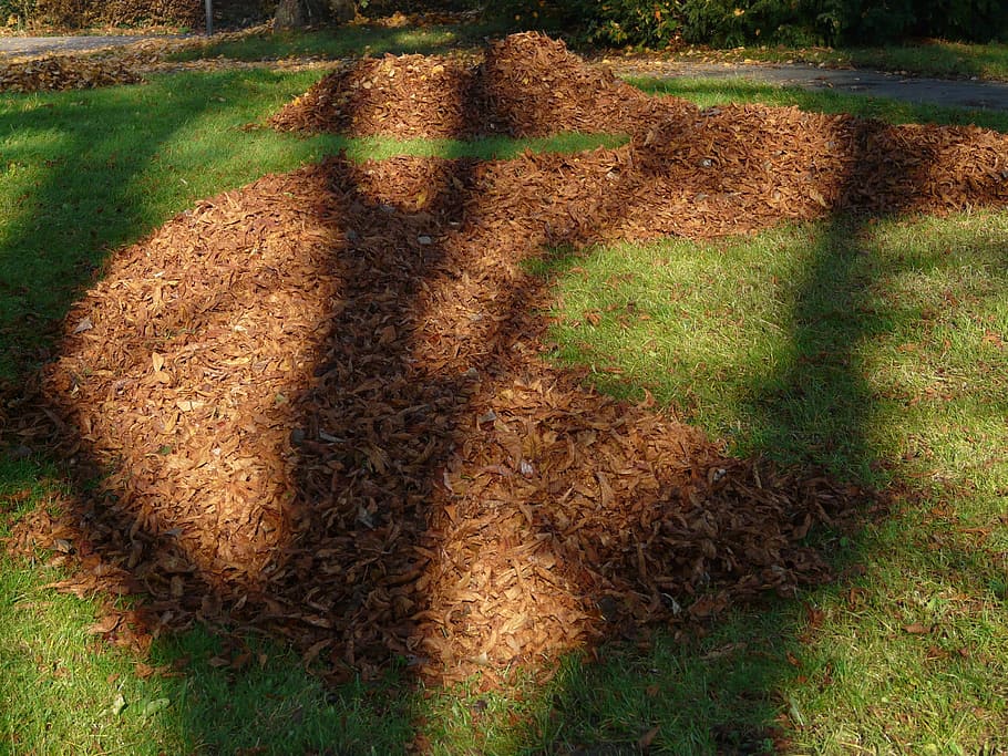 Leaves, Leaf, Piles, Meadow, leaf piles, park, autumn, shadow, light, shadow play