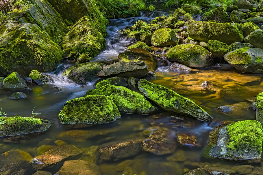 fotografía de lapso de tiempo, río, rodeado, rocas, agua, naturaleza, paisaje, piedras, flujo, banco