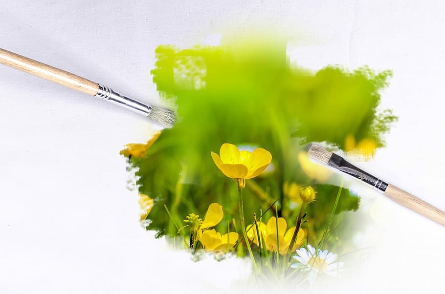 yellow, petaled flowers, paint brushes, Buttercup, flower, painting, paintbrush, outdoor, flowers, sunlight