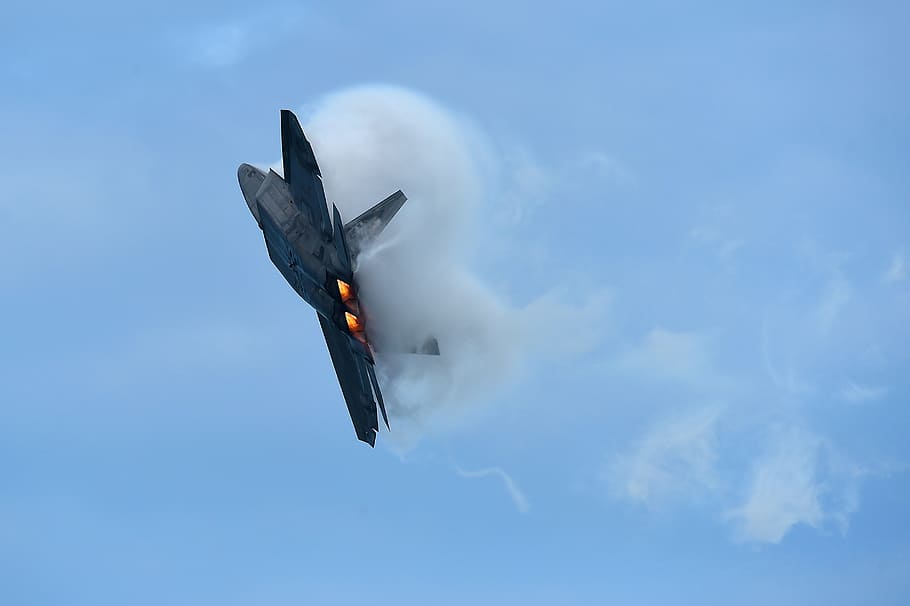 F-22, Raptor, Fuerza Aérea de los EE. UU., Stealth, pájaro, volador, naturaleza, cielo, ala animal, animal