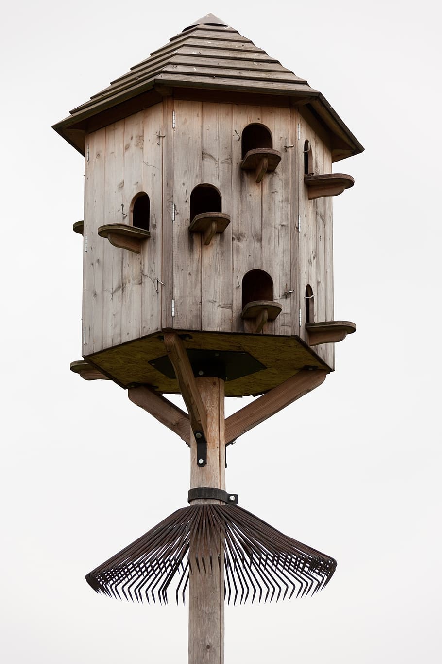 dovecot, wooden, house, pigeon, dove, box, birdhouse, pigeonry, isolated, holes