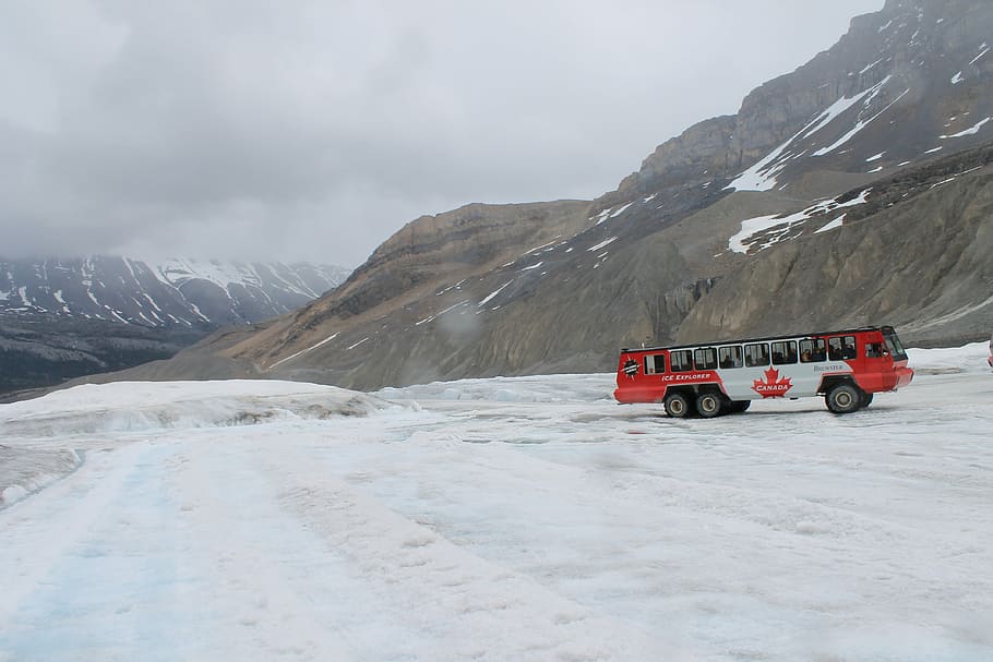 rojo, blanco, autobús, de viaje, camino de tierra, montaña, Canadá, bandera, temático, cerca