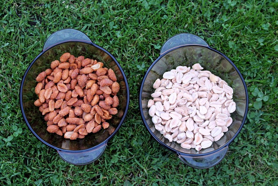 peanuts, peanut arachidowe, eating, appetizer, high angle view, grass, food and drink, food, plant, freshness
