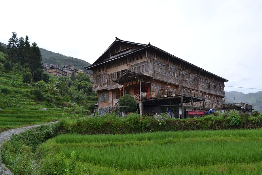 china, travel, rice terrace, village, vacation, trip, rural, asia, plant, built structure