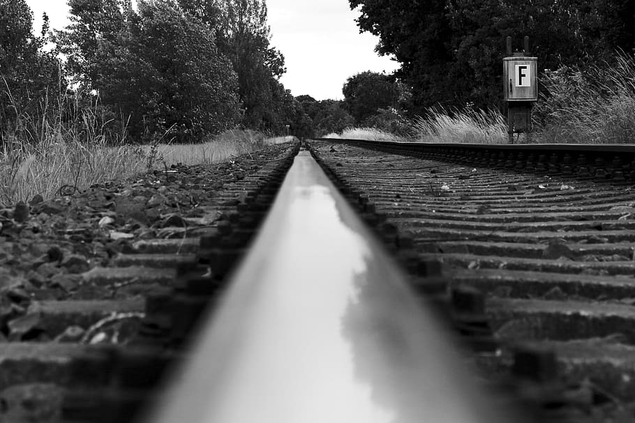 road, nature, train, black and white, black and white photography, transport system, light, railway line, railway, travel