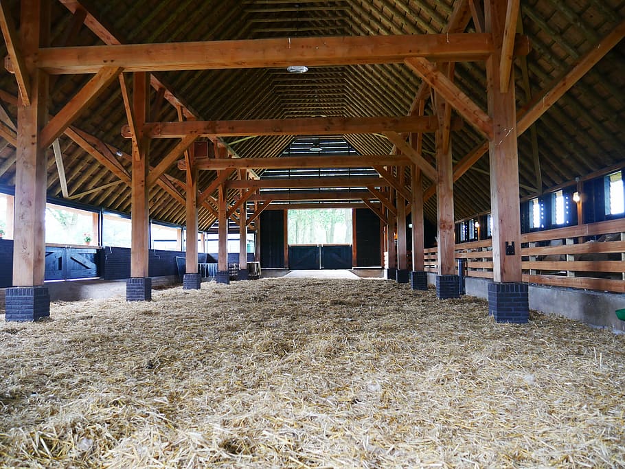 stable, sheepfold, barn, straw, architecture, built structure, indoors, day, ceiling, wood - material