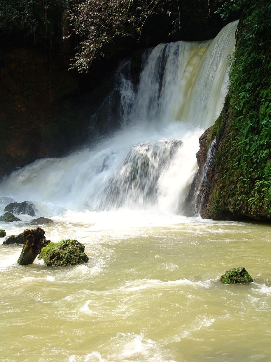 waterfalls during daytime, waterfall, water, flow, jamaica, scenics - nature, beauty in nature, flowing water, motion, tree