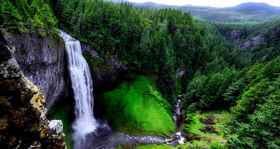 waterfalls, forest, daytime, salt creek falls, waterfall, landmark, tourism, attractions, panorama, hdr