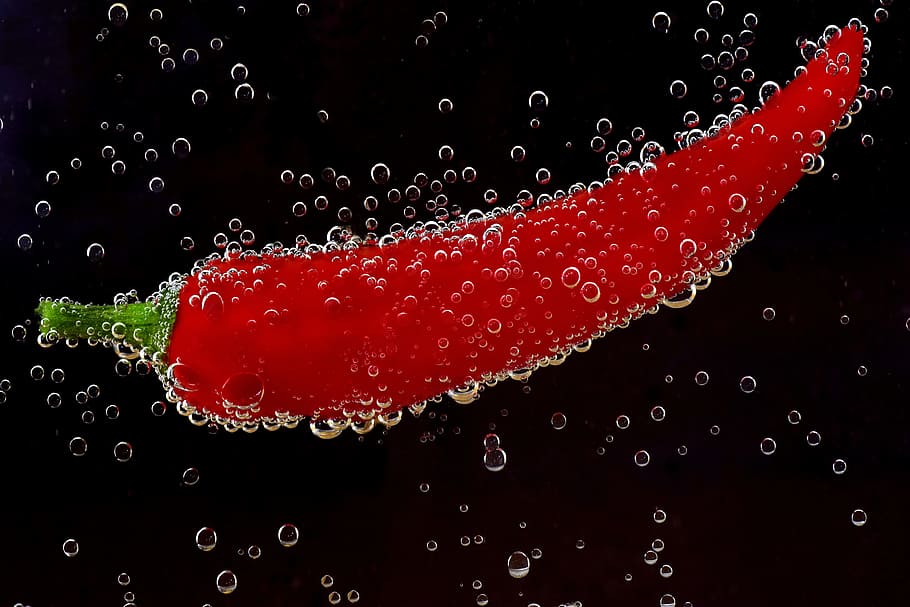 Ilustración de pimiento rojo, pepperoni, pimentón, verduras, alimentos, rojo, fuerte, comer, picante, bajo el agua